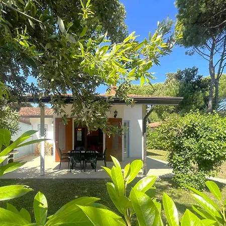 Appartement In 54666
